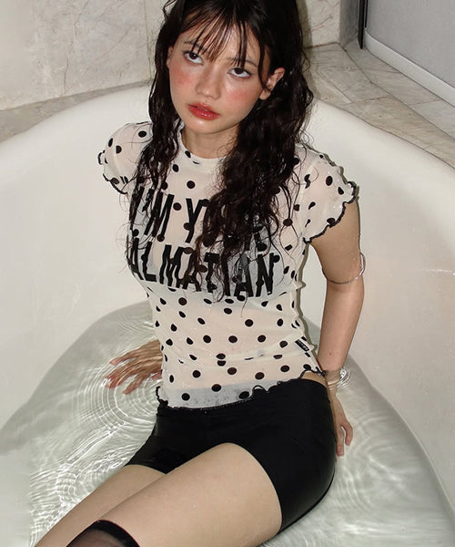 ドット柄シアーTシャツ / 16129